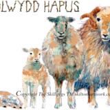 1491 PENBLWYDD HAPUS sheep family 6 by 4 inch Skillipig birthday card.