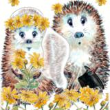 2241 PENBLWYDD PRIODAS HAPUS Skillipigs Cymraeg 6 by 4 inch greeting card