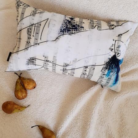 Music. Cushion cover