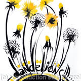 Dandelions