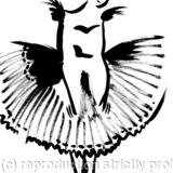 Ballerina's skirt Num 2