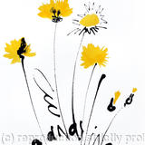 Dandelions 3