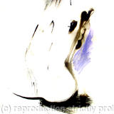 Model With a Blue Background