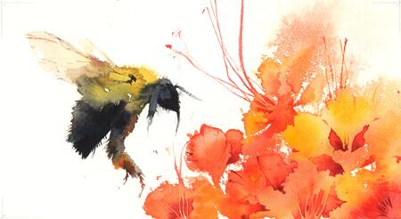 bumblebee with flowers KO9