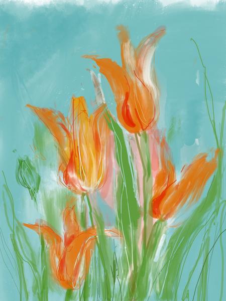 Tulips