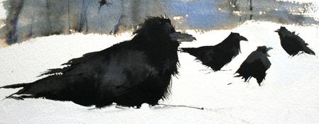 Rooks in the Snow
