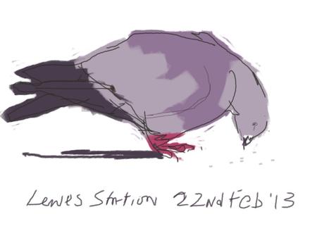 Pigeon Lewes Station