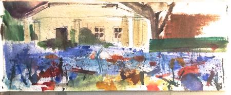 Preston Park Flower Meadow