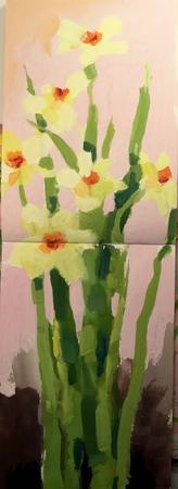 Narcissi