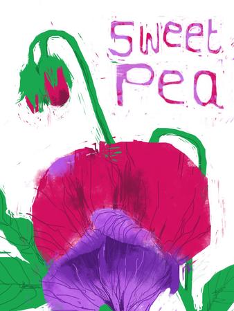 Sweet Pea