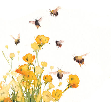 Bees and Buttercups