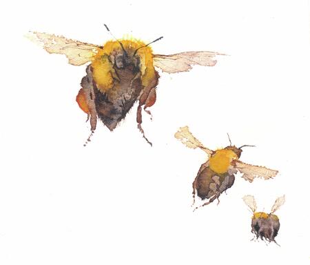 three bumblebees KO140