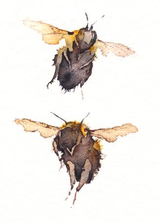 Two Bumblebees