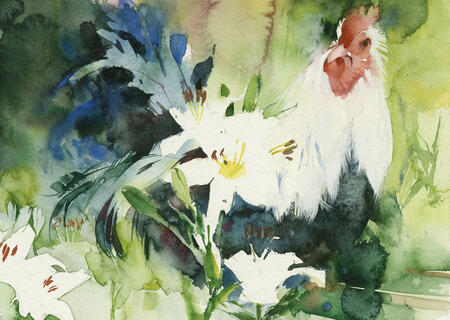 In the Summer Border KO75