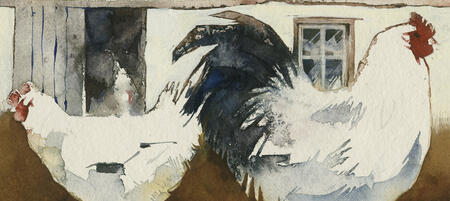 barnyard napoleon KO53