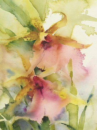 leopard orchids KO90