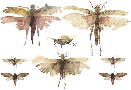 from the booth museum KO60