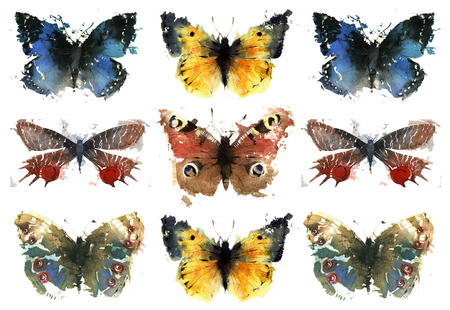 the butterfly case KO42