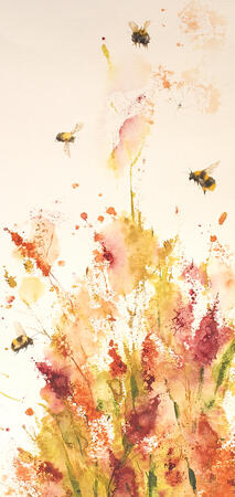 the late summer border KO152