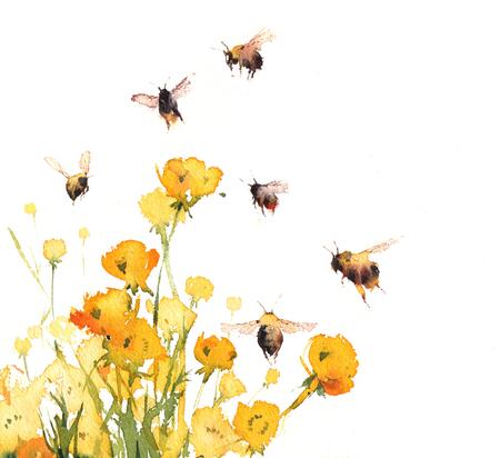 buttercups and bumblebees KO145