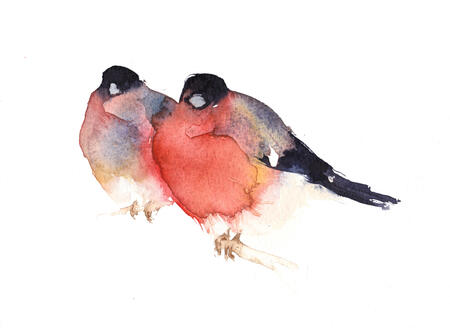 Two Bullfinches KO124
