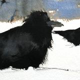 Rooks in the Snow