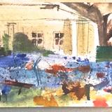 Preston Park Flower Meadow