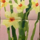 Narcissi