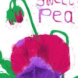 Sweet Pea