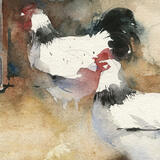 Sussex Barnyard KO77