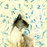 if you dont please KO64