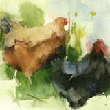 under the hedge KO73