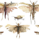 from the booth museum KO60