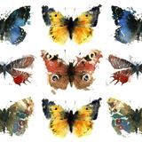 the butterfly case KO42