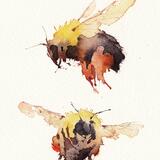 two bumblebees KO147