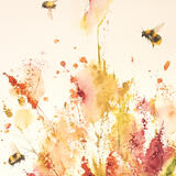 the late summer border KO152