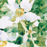 Rosa Wedding Day KO59