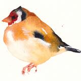 Goldfinch KO120