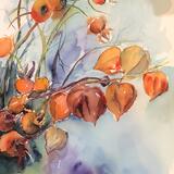 Sandra’s Hips! Garden House Brighton 2023