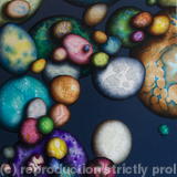 What ever you see N°2