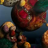 So my heart does not turn to stone N°1