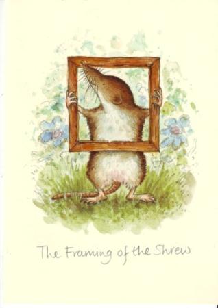The Framing Of The Shrew