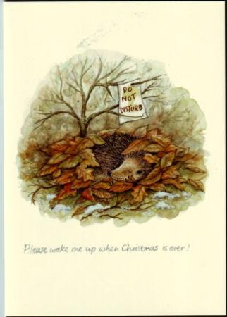 Please Wake Me Up When Christmas Is Over
