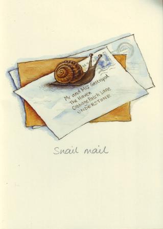 Snail Mail