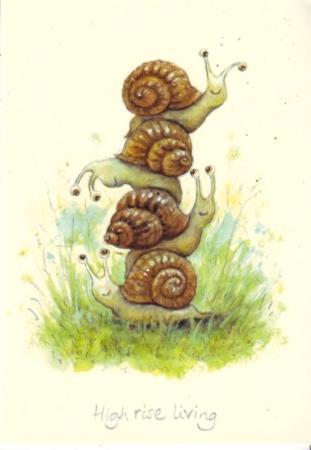 High rise living for snails