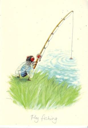 Fly fishing