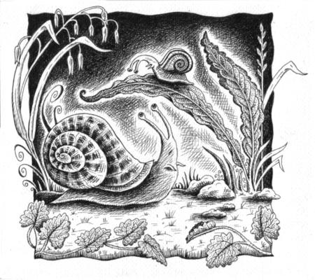 Snail tale