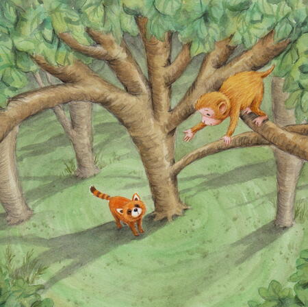 Red Panda, unused image from 'A Tale Of Two Friends'