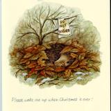 Please Wake Me Up When Christmas Is Over