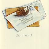 Snail Mail
